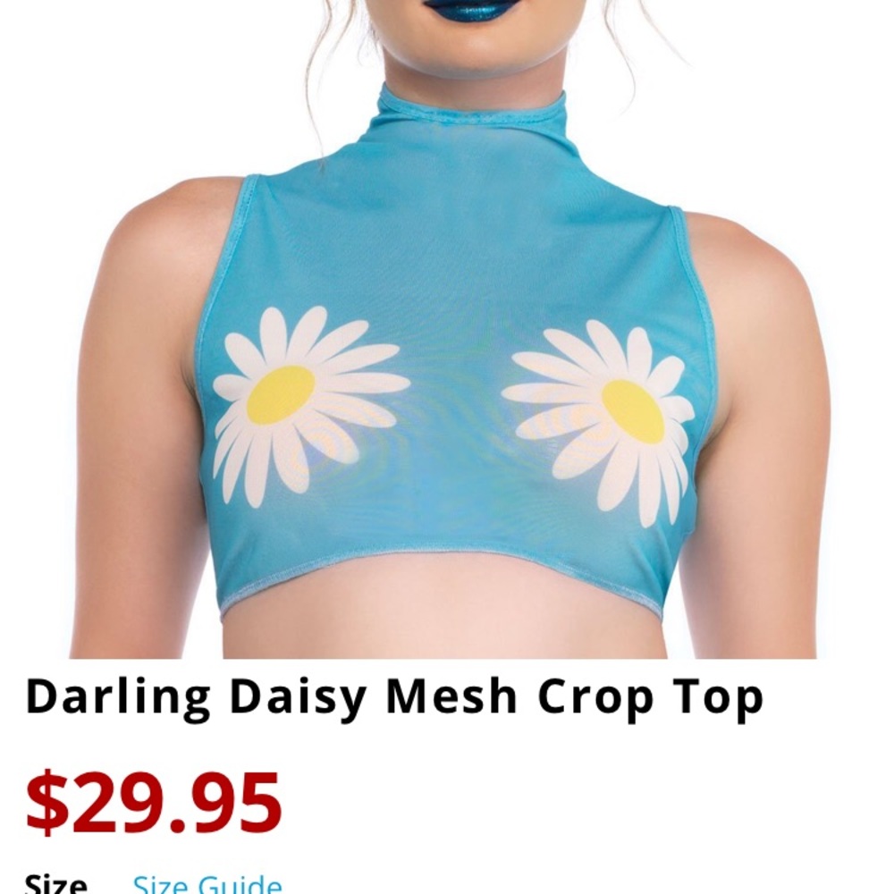 Daisy Mesh Crop Top